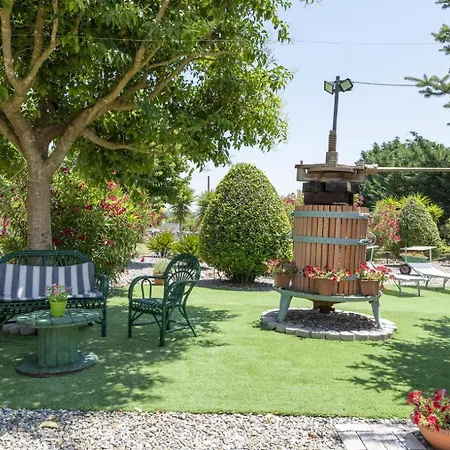 Le Lamie Di Comasia מרטינה פרנקה